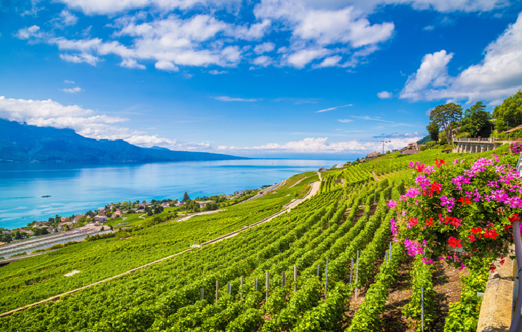 A Backpacker’s Guide to Vevey